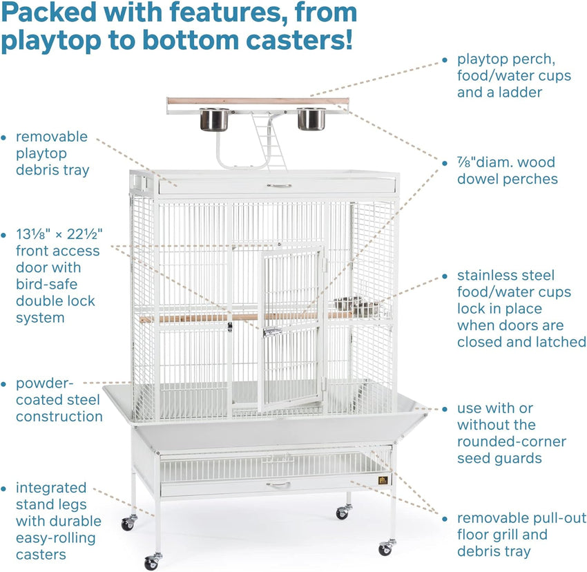 Pet Products Wrought Iron Select Bird Cage 3154C. Chalk White. 36-Inch by 24-Inch by 66-Inch