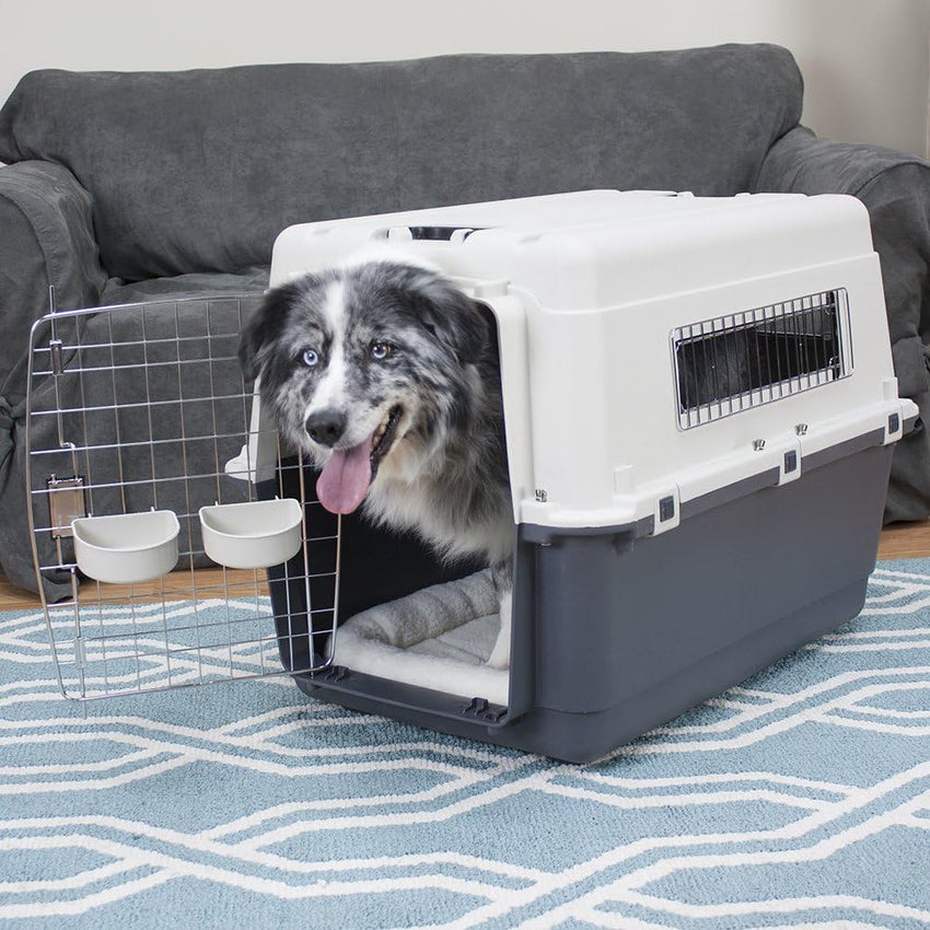 SportPet Designs Plastic Kennels Rolling Plastic Airline Approved Wire Door Travel Dog Crate. XXX-Large. Gray