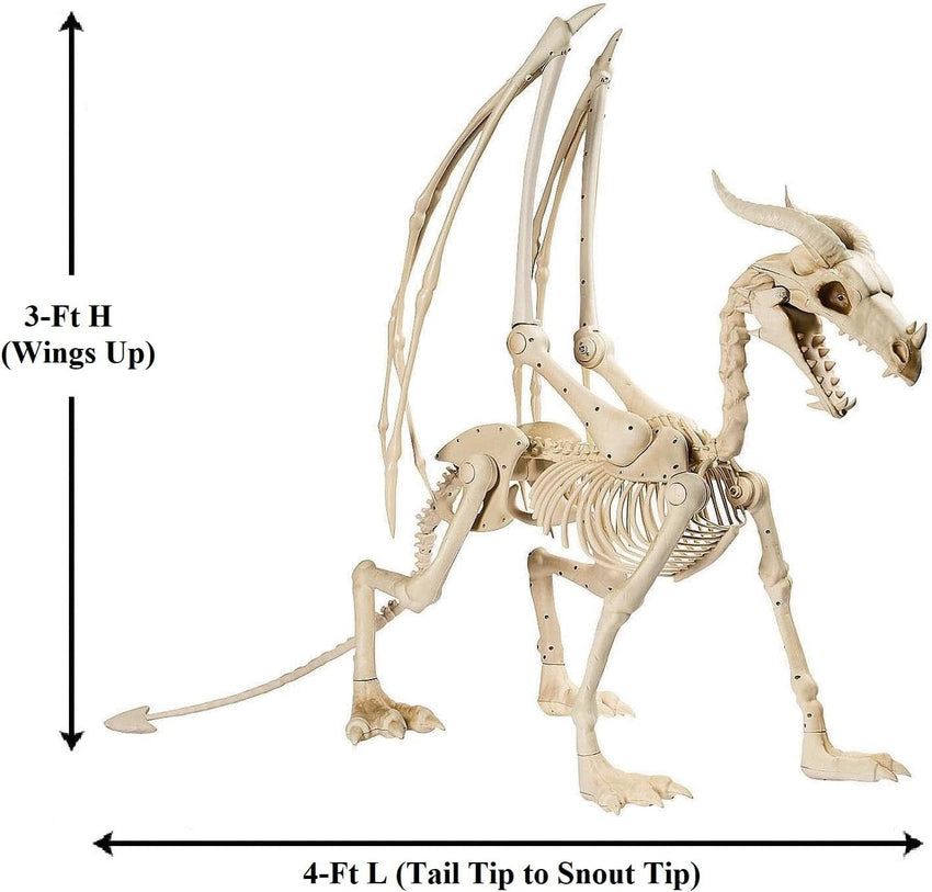 Large 4ft pterosaur skeleton. halloween decoration