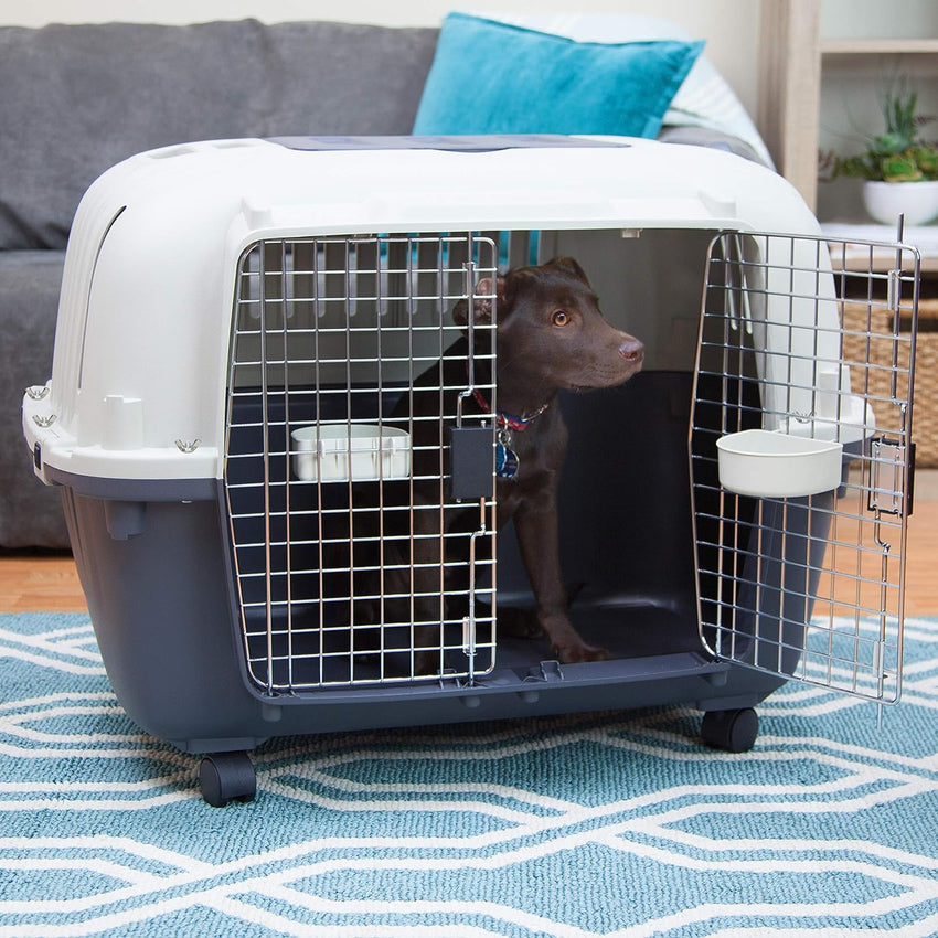 SportPet Designs Plastic Kennels Rolling Plastic Airline Approved Wire Door Travel Dog Crate. XXX-Large. Gray