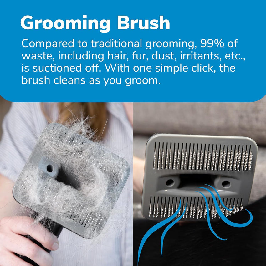 Professional Plus Pet Grooming Vacuum Kit. 5 Pet Grooming Tools. 2L Canister. Works for All Dogs. Cats. and Pet Fur