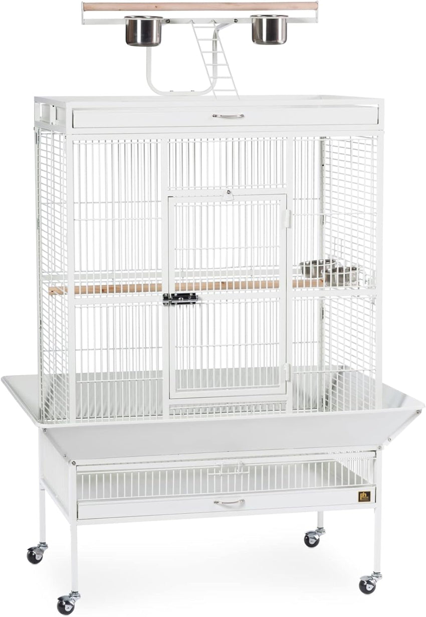 Pet Products Wrought Iron Select Bird Cage 3154C. Chalk White. 36-Inch by 24-Inch by 66-Inch