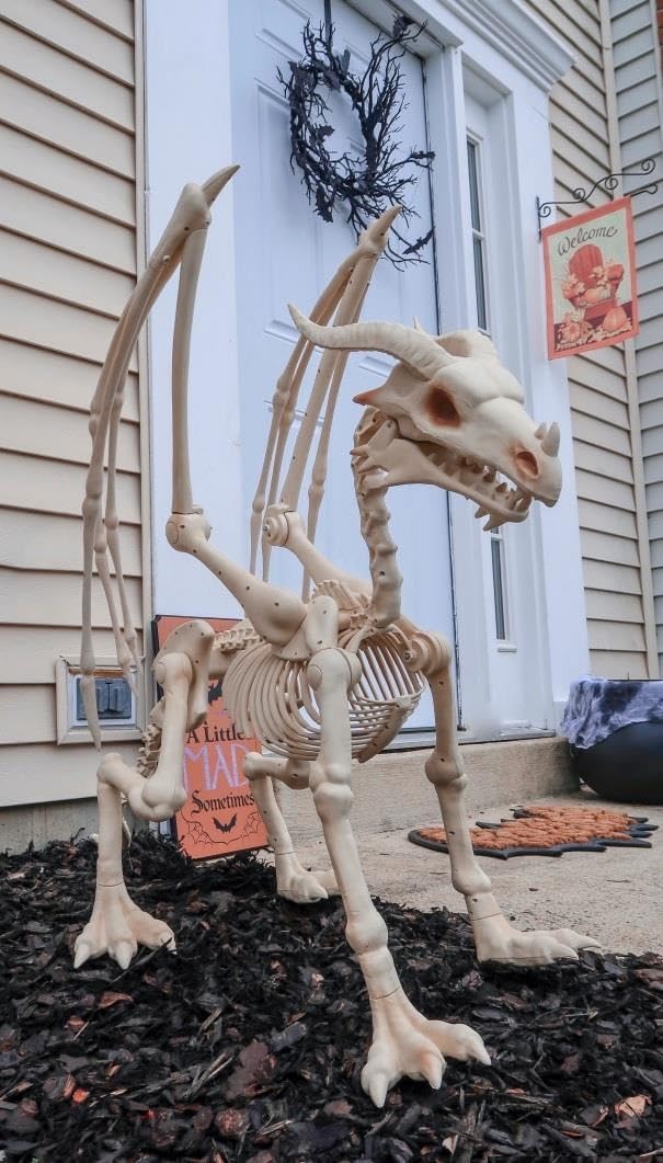 Large 4ft pterosaur skeleton. halloween decoration